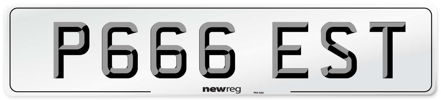 P666 EST Number Plate from New Reg